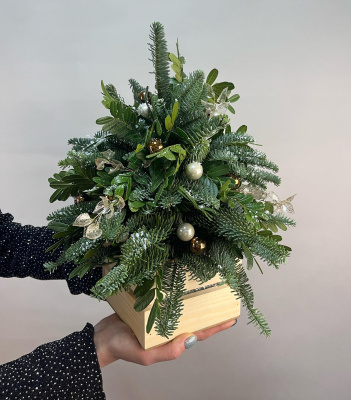 Елочка из нобилиса Воспоминания из детства