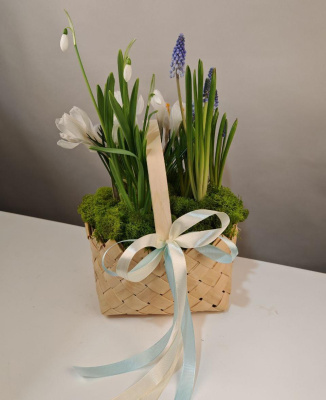 Корзинка первоцветов Вдохновение весной  Амелия