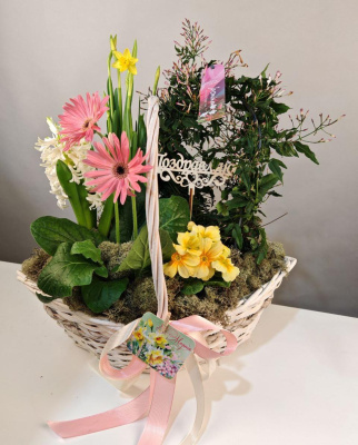 Корзинка цветов Праздник весны Амелия