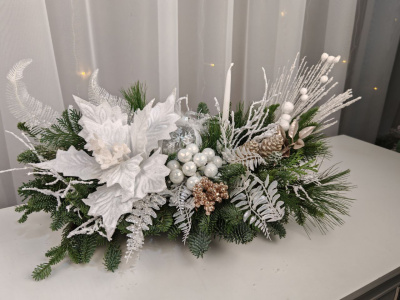 Композиция В гостях у снежной королевы