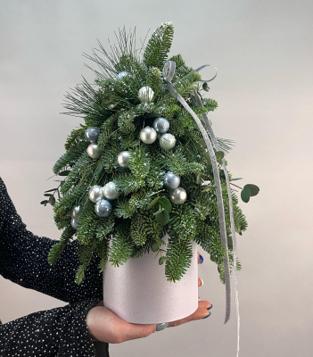 Елочка из нобилиса Морозный день 