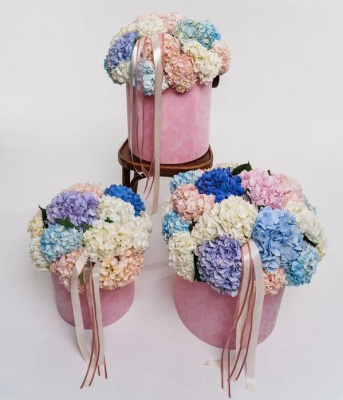 Подарочный набор с гортензиями