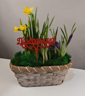 Корзинка цветов Весенний презент Амелия