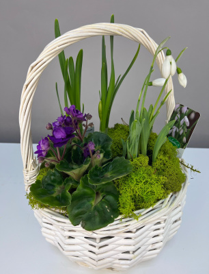 Корзинка первоцветов Сиреневые мечты  Амелия