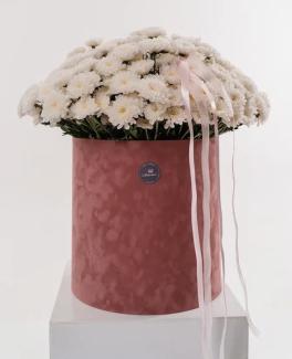 Подарочная коробка с белыми хризантемами (размер L)